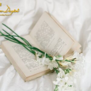 Ruột chăn khách sạn 2 Ruột chăn khách sạn - GoldenSilk - ảnh 3