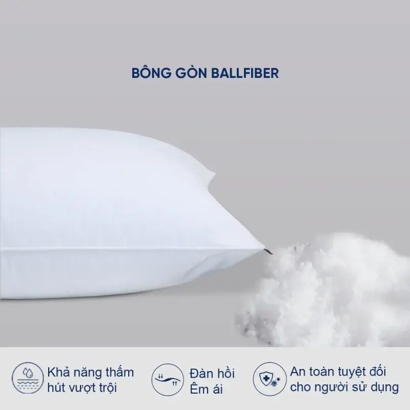 Ruột gối Standard bông gòn tự nhiên 1 Ruột gối Standard bông gòn tự nhiên - GoldenSilk - hình chi tiết 1