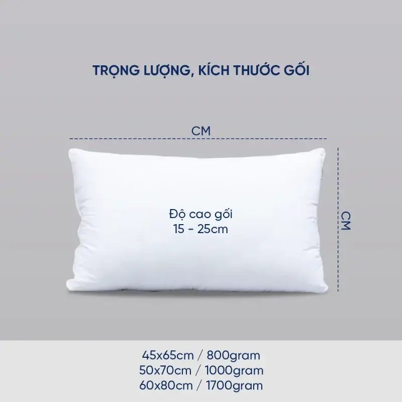 Ruột gối Standard bông gòn tự nhiên 2 Ruột gối Standard bông gòn tự nhiên - GoldenSilk - hình chi tiết 2